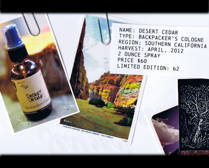Juniper_Ridge_Backpackers_Cologne_1