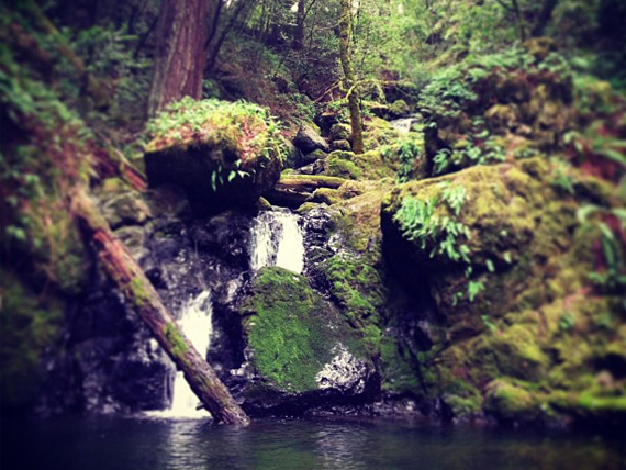 Juniper_Ridge_2