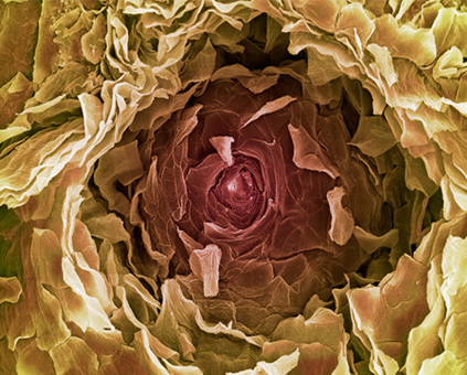 Links_0037
