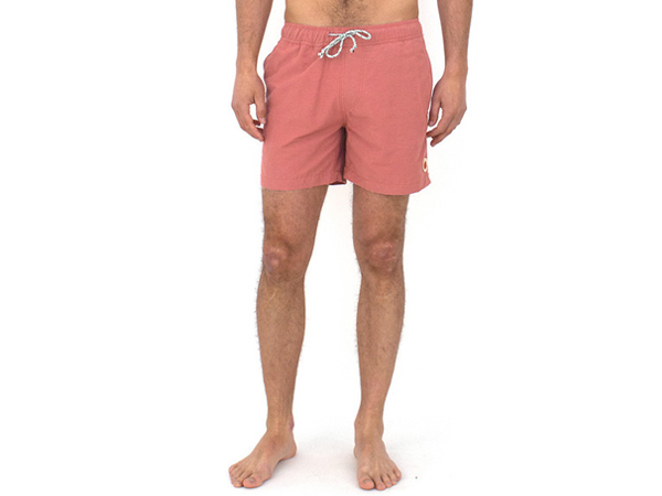 mollusk swim trunks